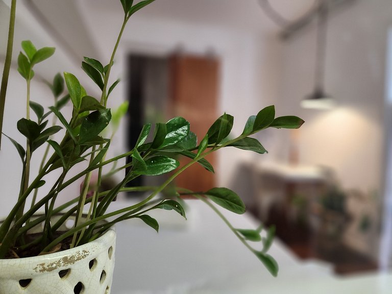 Loft próximo a Rodoviária- Fábricas